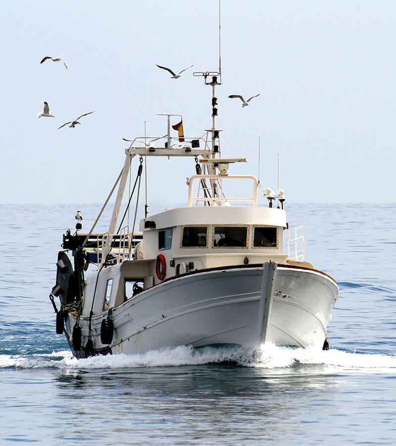 Image Title My Image